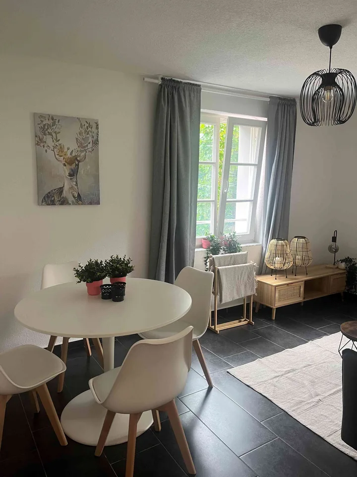 Cozy Apartment in Lucerne – Quiet Area and Close to Everything!