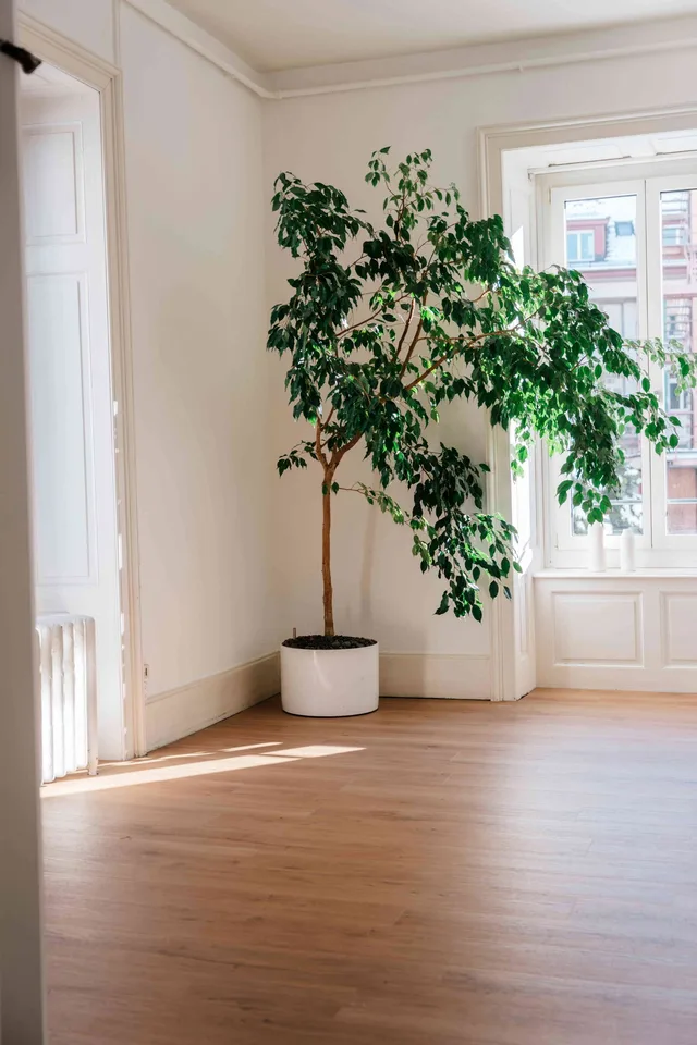 Arbeitsplatz in kreativem Fotostudio – Luzern Bruchstrasse