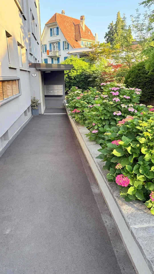 4.5 Zimmer-Wohnung, Wesemlin Luzern