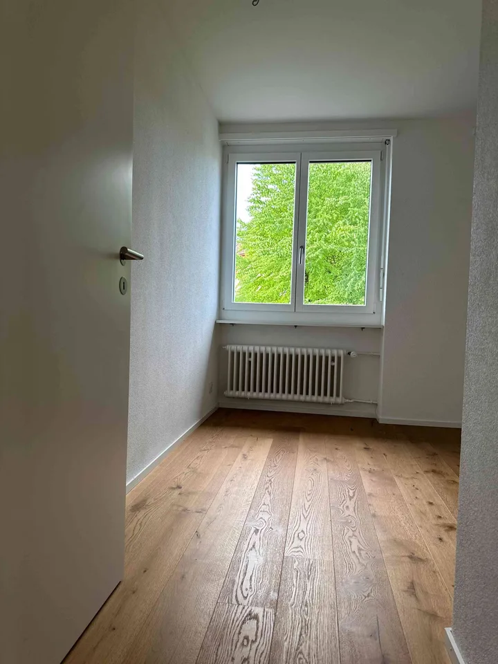 4.5 Zimmer-Wohnung, Wesemlin Luzern