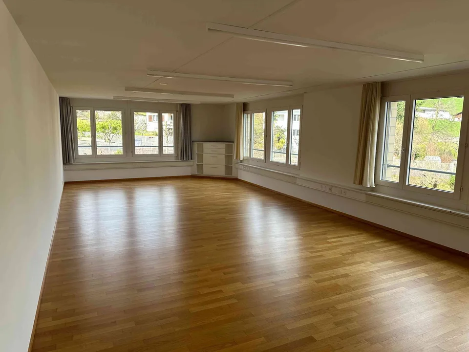 Shared Desk/Geschäftsdomizil/Büro in der Steueroase Meggen