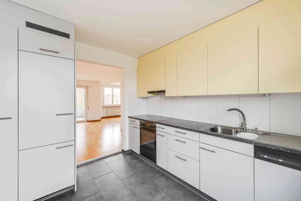 splendide appartement 3 pièces