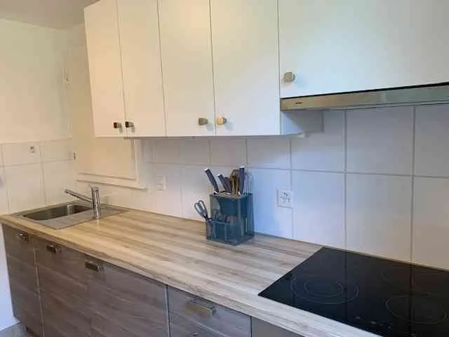 1-Zimmerwohnung möbliert