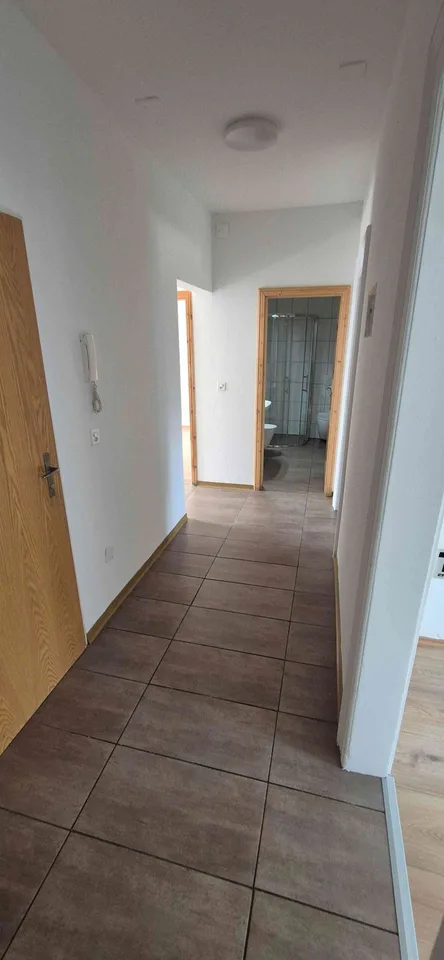 Luftige, sonnige Wohnung im multikulturellen Horburgquartier