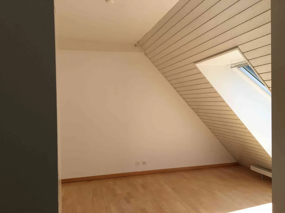 Helle, grosszügige Dachwohnung