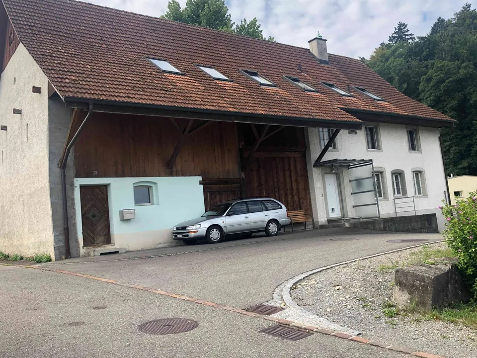 Helle, grosszügige Dachwohnung