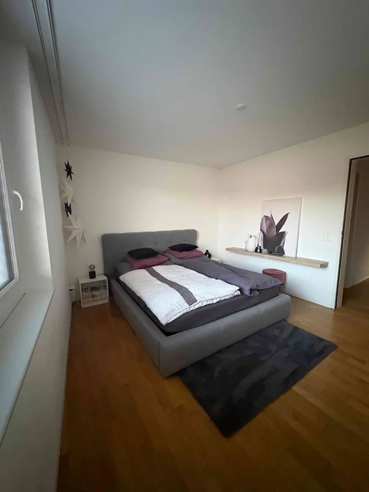 Nachmieter für wunderschöne Attika Wohnung gesucht
