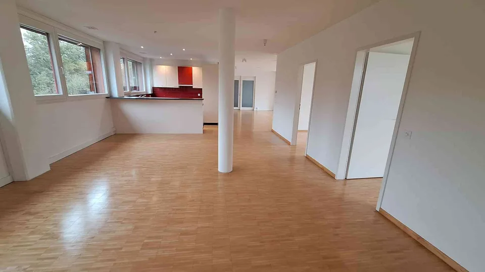 Moderne 5 ½-Zimmer-Attikawohnung (150 m2) in Passivhaus
