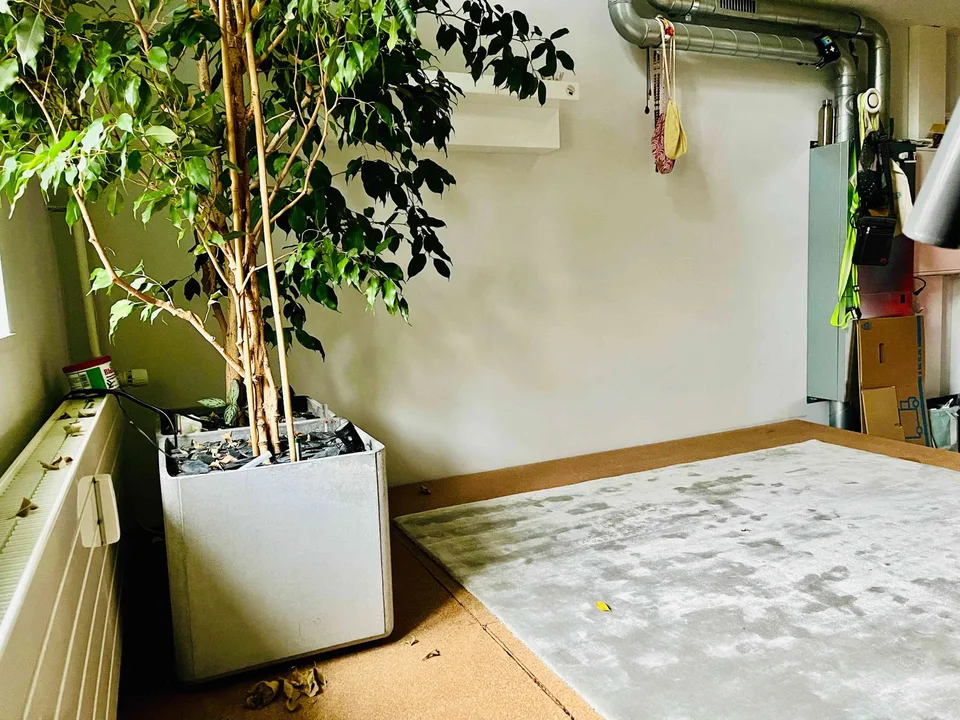 Modern-loftiges Atelier citynah direkt an Aare und Wald