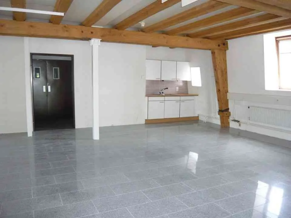 Ausgebaute Katzenpension in Gewerberaum 300m2