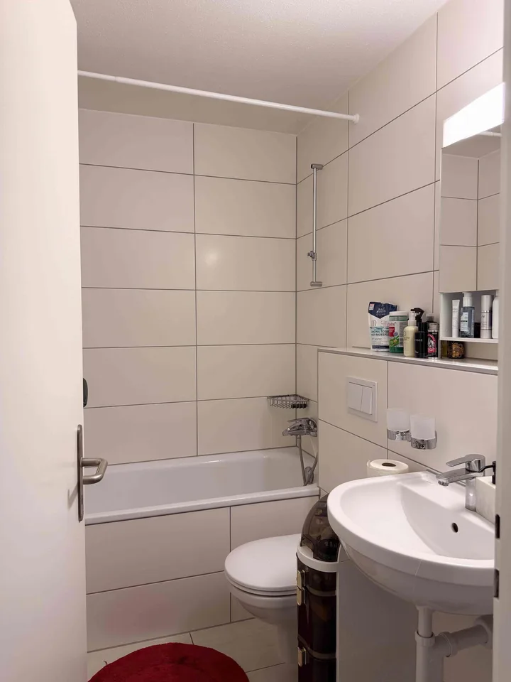 ???? Furnished Apartment for Rent – Birsfelden (Basel)