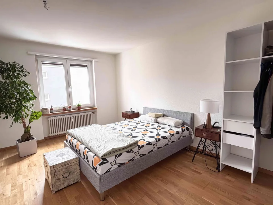 ???? Furnished Apartment for Rent – Birsfelden (Basel)