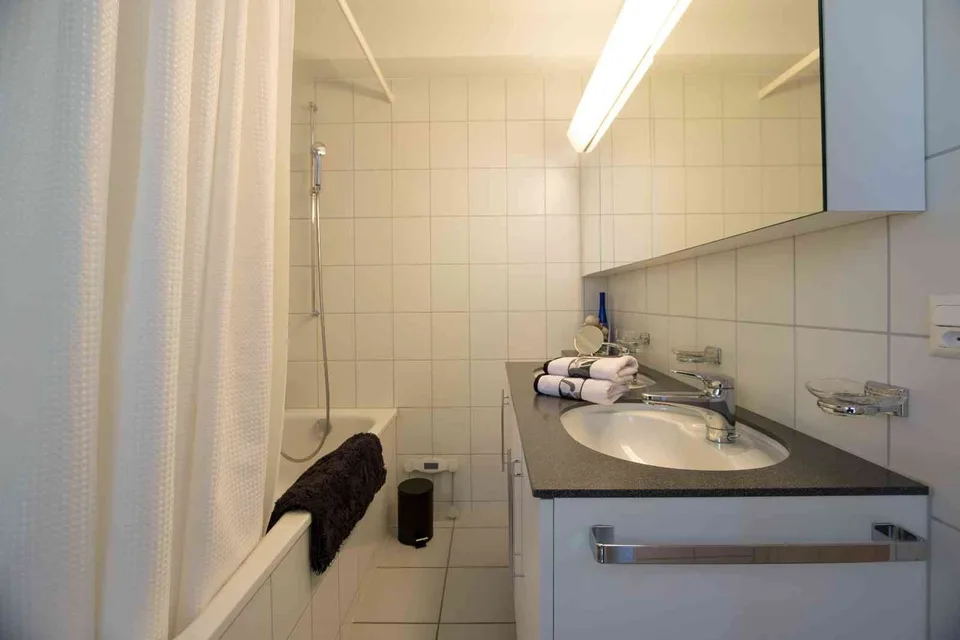 kiwihomes.ch - CLOSE to the RHINE, 4 bed 2 baths garage box fr 4850