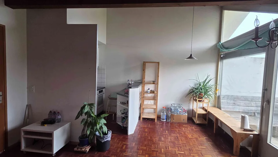Helle, ruhige Dachwohnung mit Aussicht, am Birsig