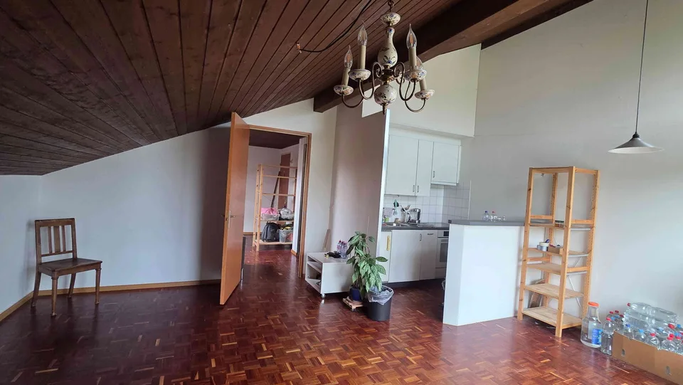 Helle, ruhige Dachwohnung mit Aussicht, am Birsig