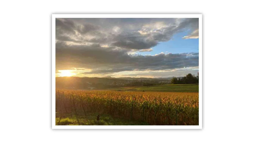 Ihr Zuhause mit Aussicht: Charmante 2-Zimmer-Perle in bester Lage
