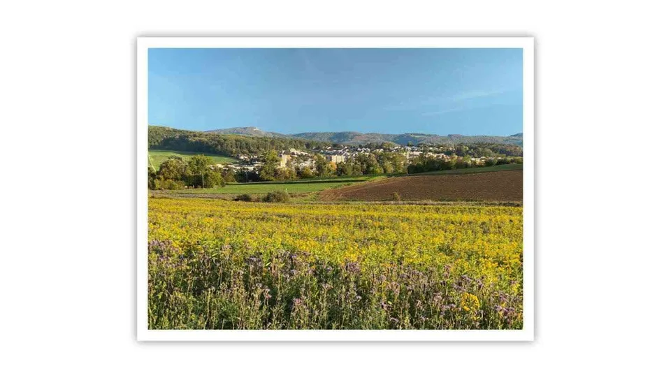 Ihr Zuhause mit Aussicht: Charmante 2-Zimmer-Perle in bester Lage