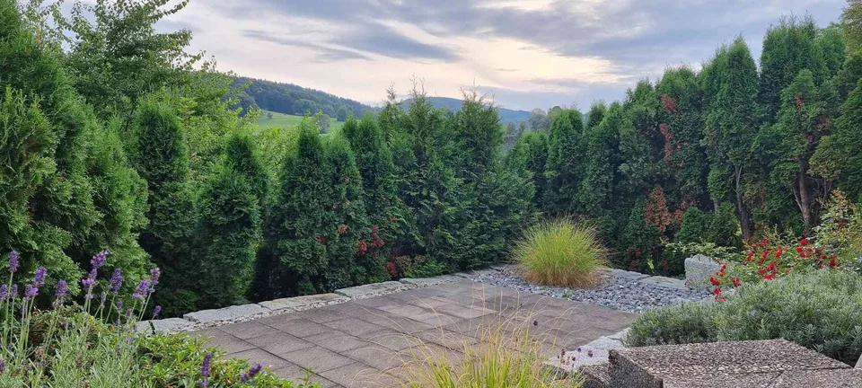 Grosszügige 3-Z-Wohnung, sonnige Lage, Garten, Cheminée in Seewen SO