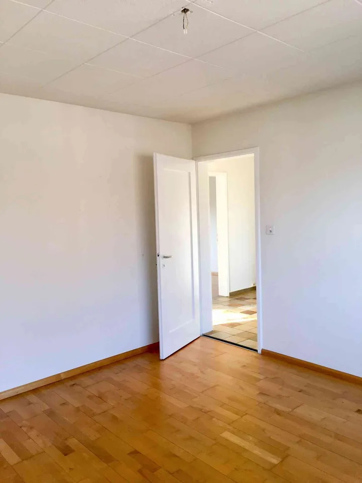 Sonnige 3-Zimmer-Altbauwohnung in ruhiger, grüner Umgebung – stadtnah