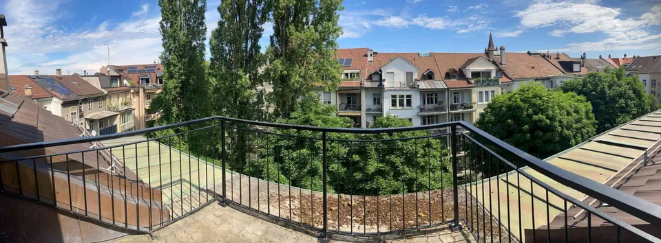 Tolle 3,5 Dachwohnung mit Balken, Mezzanine, Dachterrasse, ruhige Lage