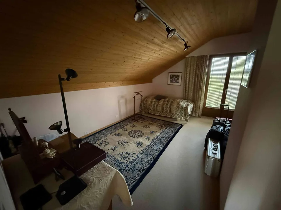 Grosses Einfamilenhaus