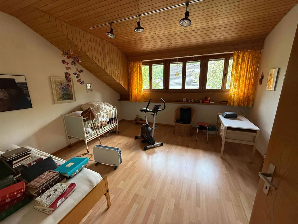 Grosses Einfamilenhaus