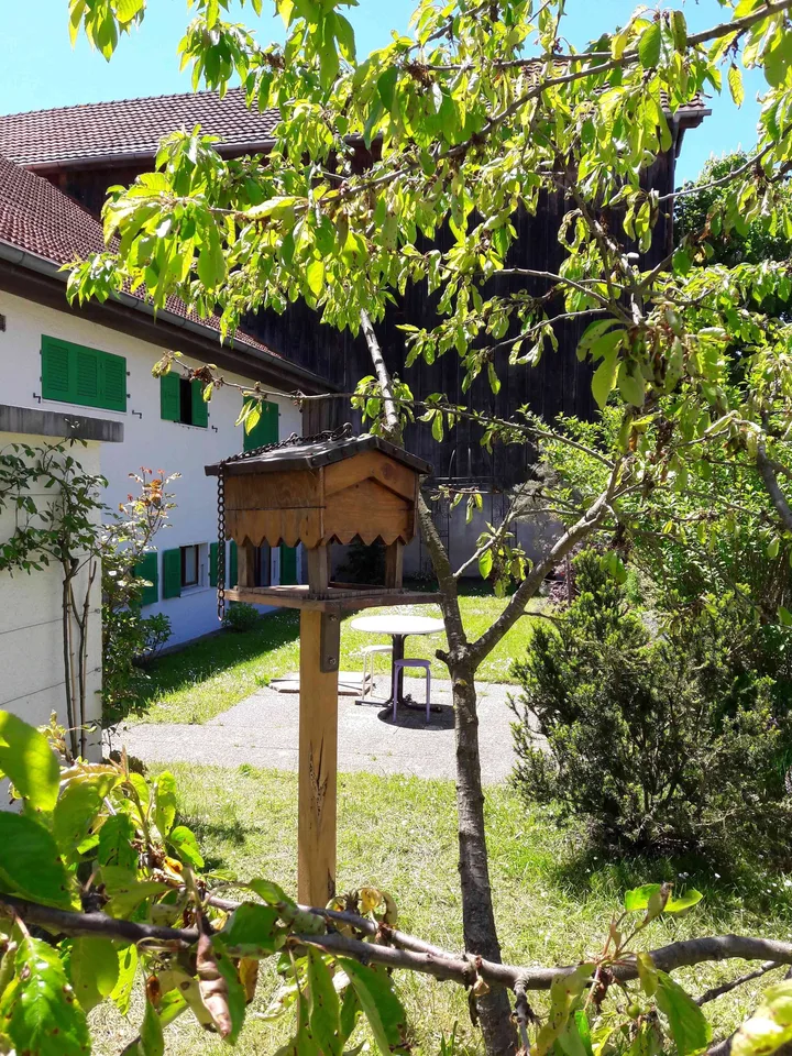 Bel appartement de 3 1/2 pcs au rez-de-chaussée