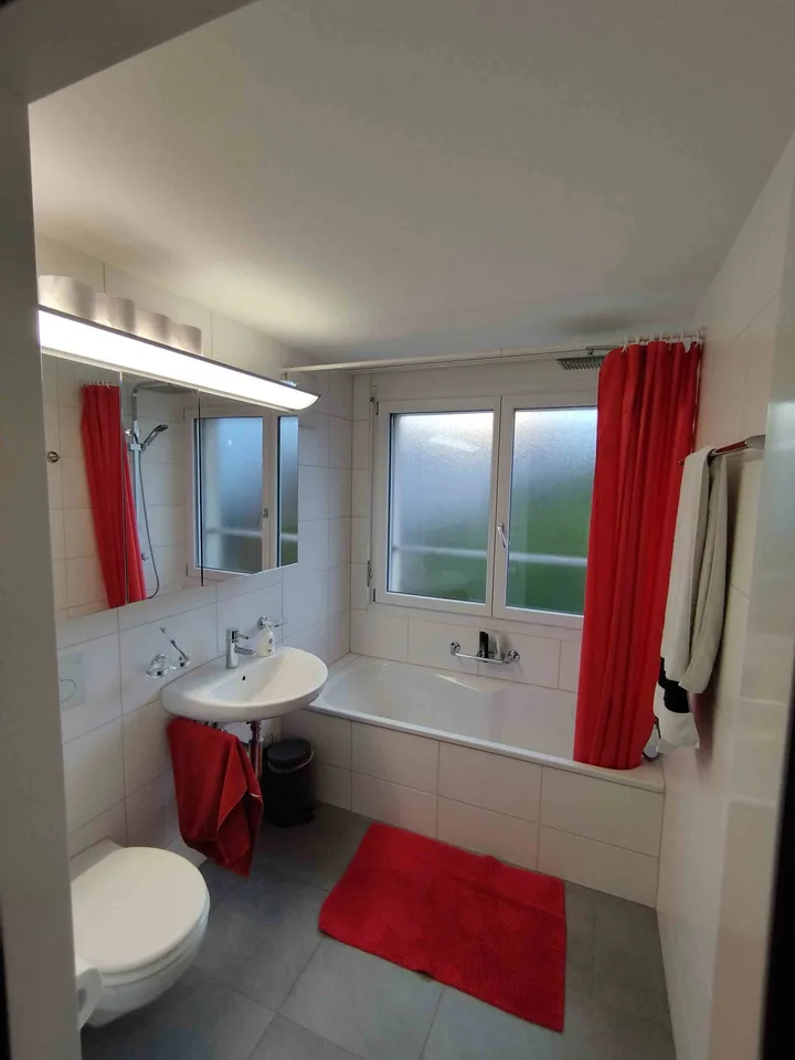 Moderne helle Wohnung in Münchenstein, Untermiete