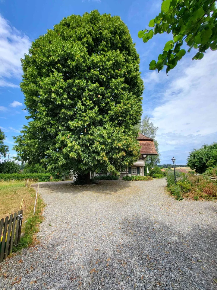 4 1/2 Zimmerwohnung an ruhiger Lage