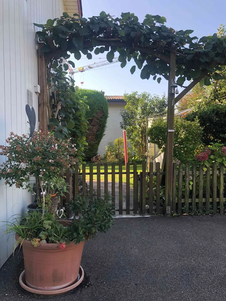 4,5 Zimmer-Wohnung in 1 Familienhaus Bellach/Solothurn zu vermieten
