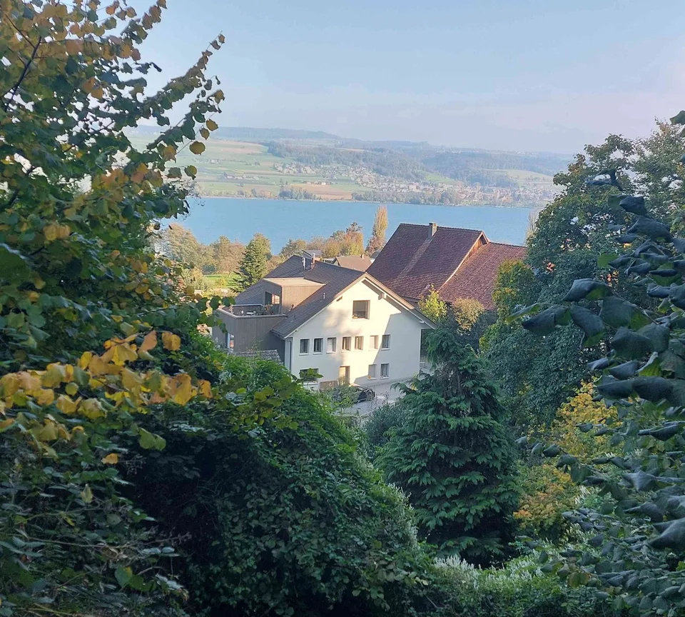 Dachwohnung mit Terrasse in Seenähe