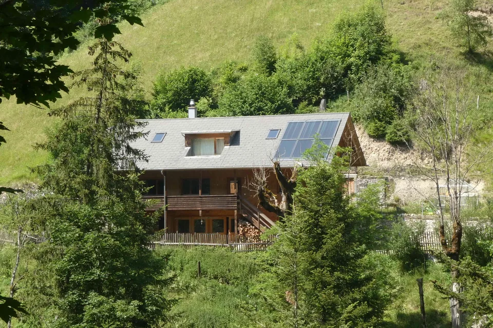 Leben im grünen