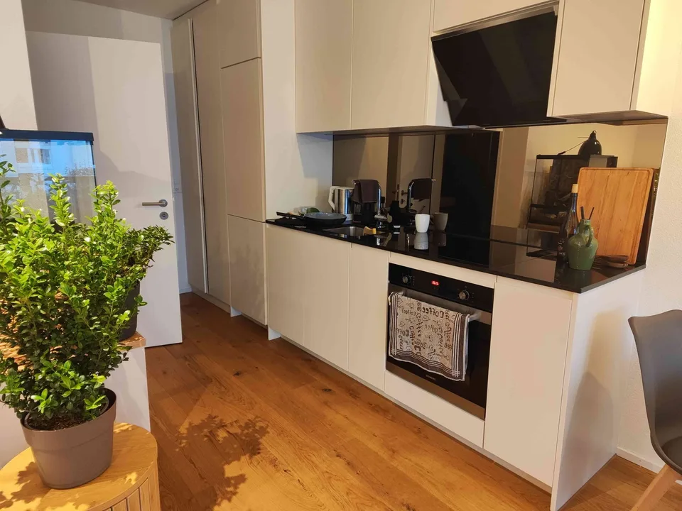 Neuwertige 1,5-Zimmer-Wohnung in Oberkirch LU zu vermieten