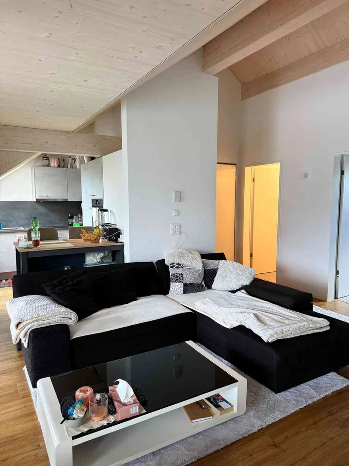 Nachmieter für eine schöne und günstige 3.5 Zimmer-Wohnung gesucht