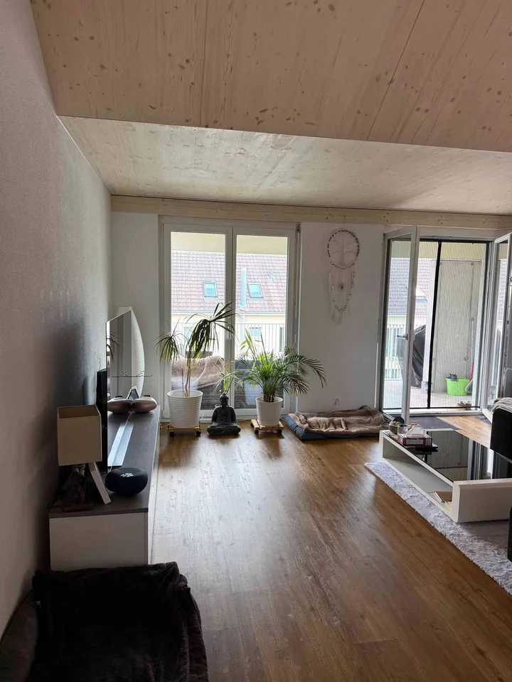 Nachmieter für eine schöne und günstige 3.5 Zimmer-Wohnung gesucht