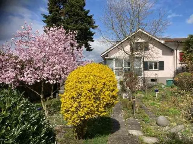 4.5 Zimmer Duplex-Haus mit Garten