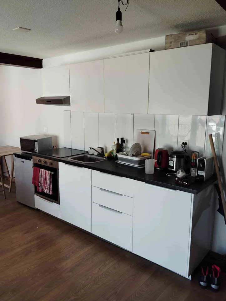 1.5-Zimmer-Loft-Dachwohnung mit Seesicht