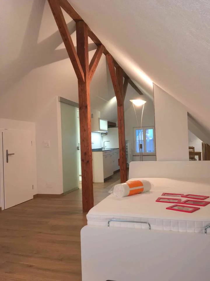 Charmantes 1.5-Zimmer-Studio im Dachgeschoss in Roggwil BE
