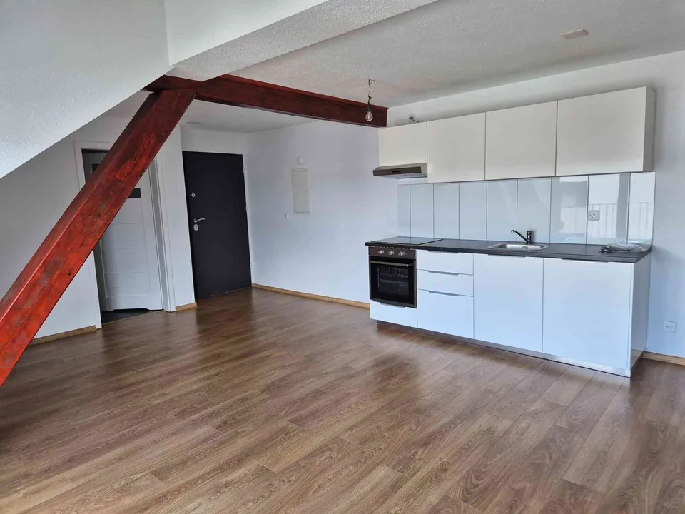 1.5-Zimmer-Loft-Dachwohnung oberhalb Hallwilersee