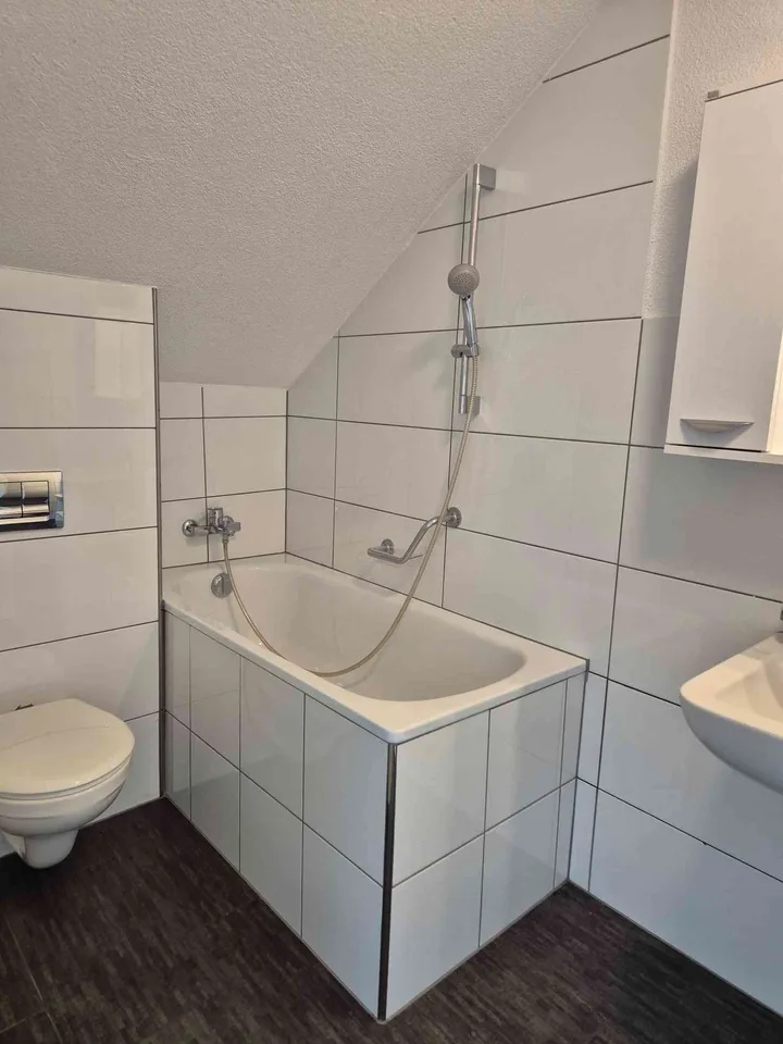 1.5-Zimmer-Loft-Dachwohnung oberhalb Hallwilersee