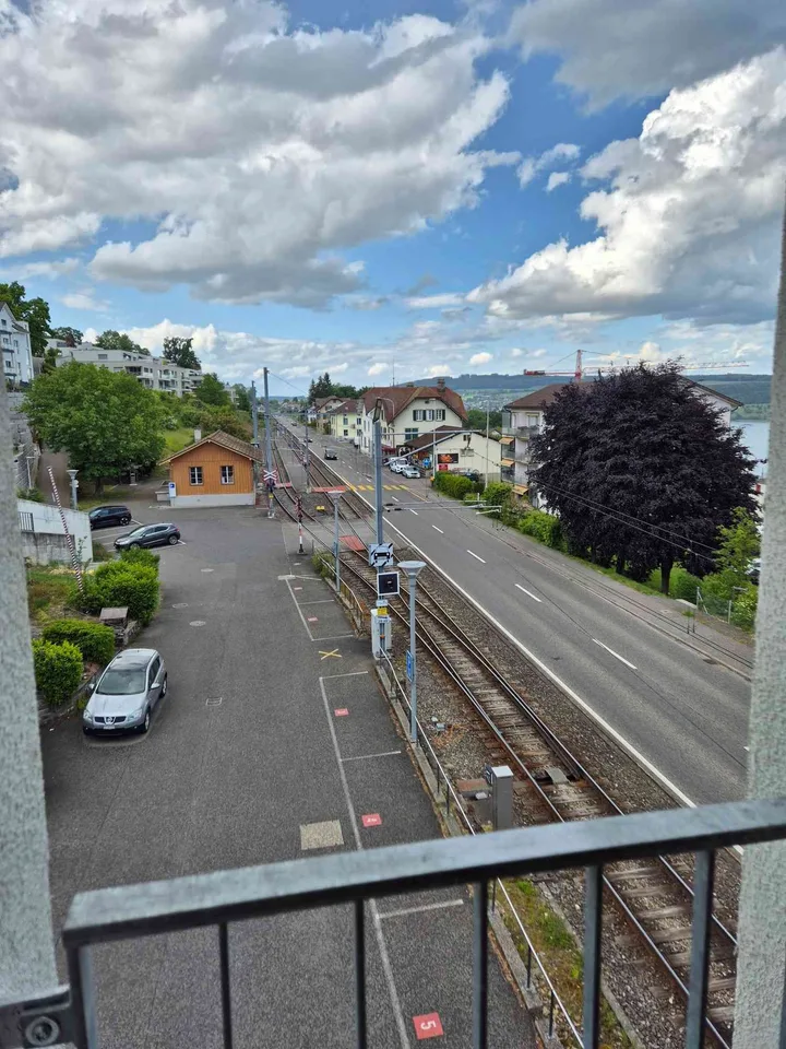 1.5-Zimmer-Loft-Dachwohnung oberhalb Hallwilersee