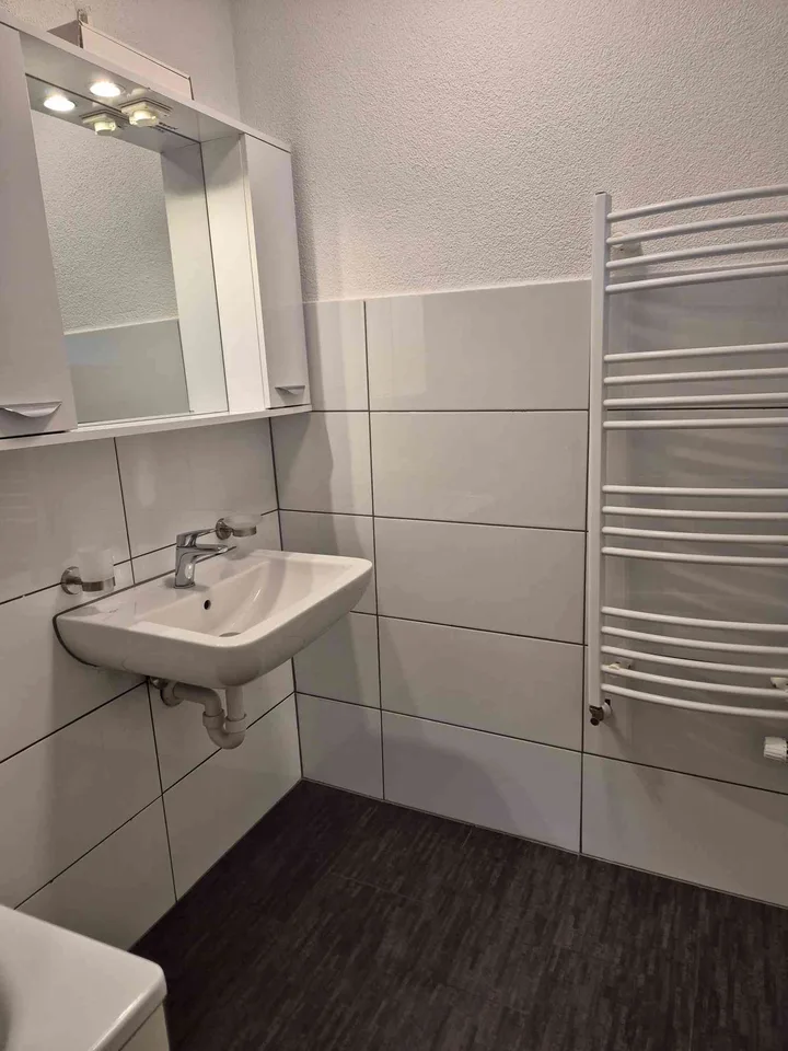 1.5-Zimmer-Loft-Dachwohnung oberhalb Hallwilersee