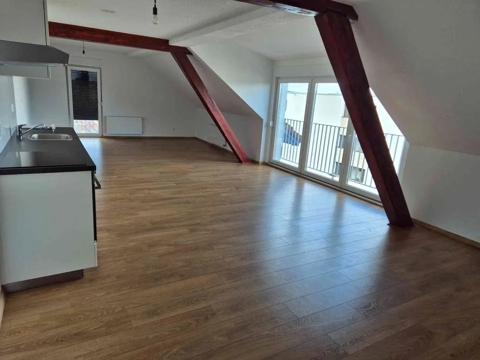 1.5-Zimmer-Loft-Dachwohnung oberhalb Hallwilersee