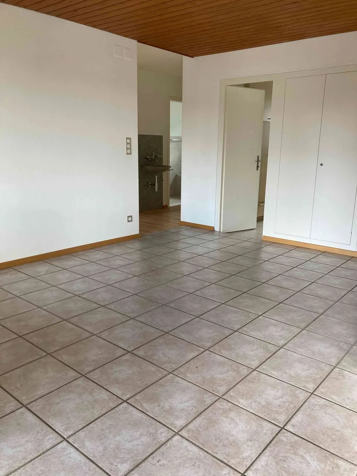 5 1/2-Zimmer-Wohnung