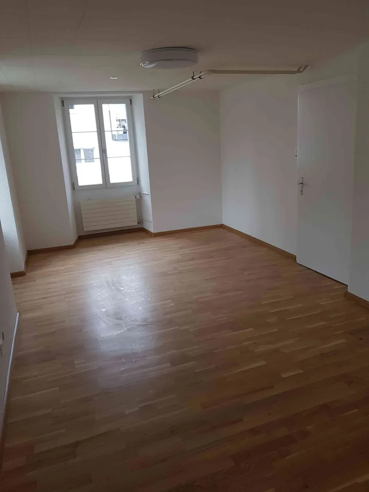 Renovierte 3 1/2 Zimmer Wohnung