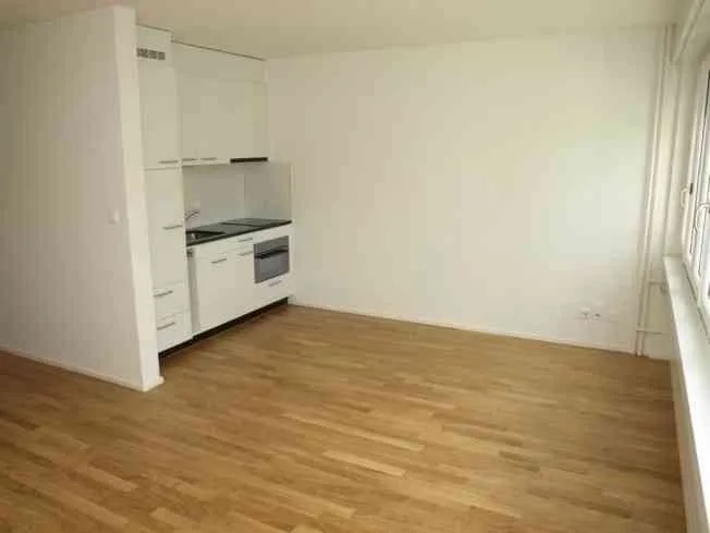 Appartement 1.5 Pièces