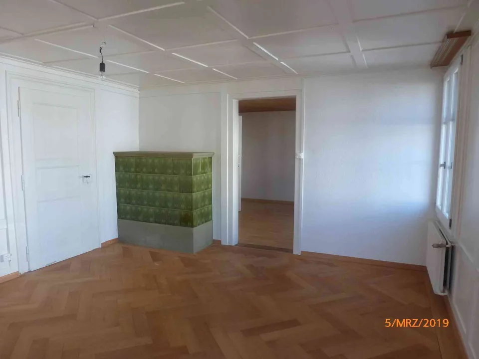 grosse Wohnung in zentraler Lage