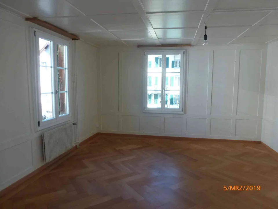 grosse Wohnung in zentraler Lage