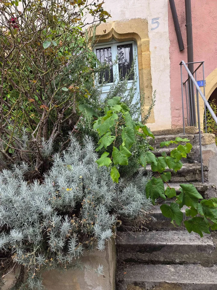 NEUCHATEL - Hauterive - CHAMBRE pour amateur de maisons atypiques