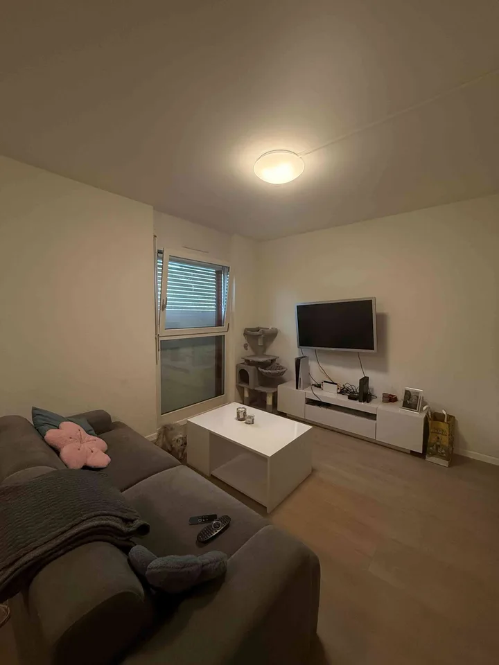 studio à louer pour septembre 2025